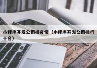 小程序开发公司排名情（小程序开发公司排行十名）