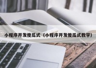 小程序开发傻瓜式（小程序开发傻瓜式教学）